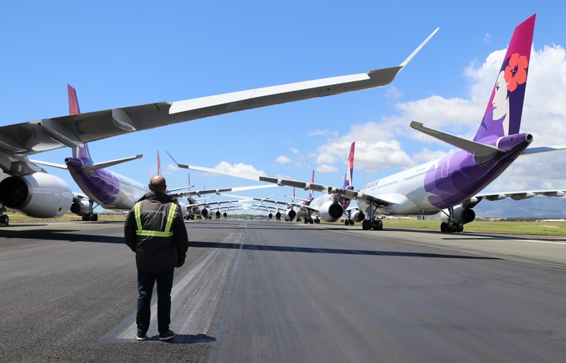 hawaiian airlines lost baggage