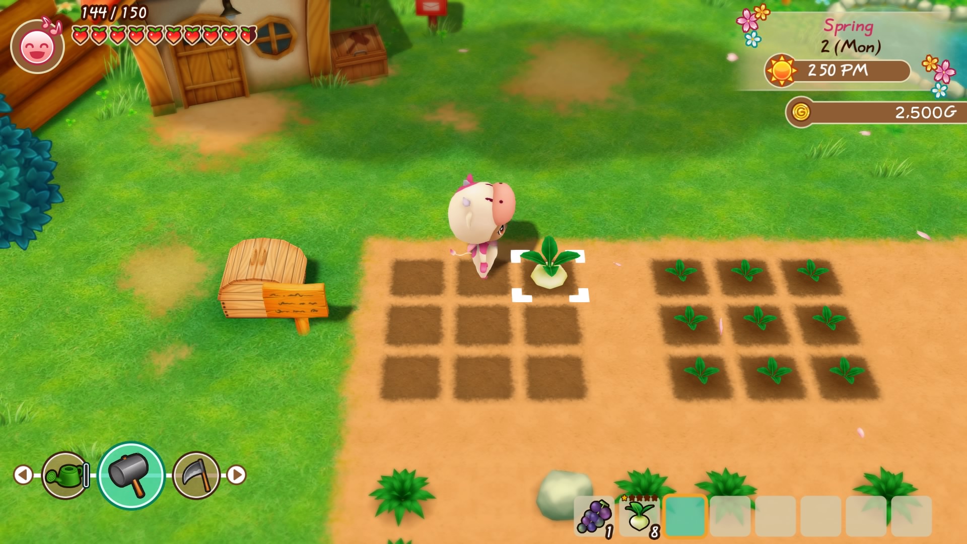 Story Of Seasons: Friends Of Mineral Town Review: Friendship Is Forever