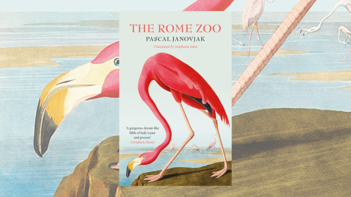 The Rome Zoo